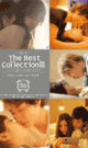 THE BEST COLLECTION 3 -DVD- - DVD / 240min