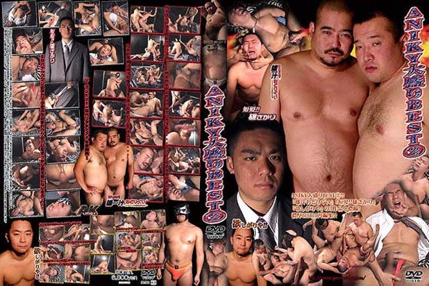 ANIKY LARGE BEST 2 -DVD- [ REVIVAL SALE and DISK ONLY ]