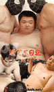 YOUNG CHUBS DIARY Vol.2 -DVD-