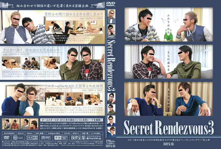 SECRET RENDEZVOUS 3 -DVD-