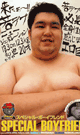SPECIAL BOYFRIEND -DVD-