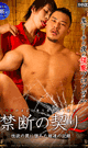FORBIDDEN INCEST LOVE AFFAIRS 2 -DVD-