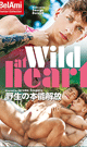 WILD AT HEART -DVD- [ reservation ] 