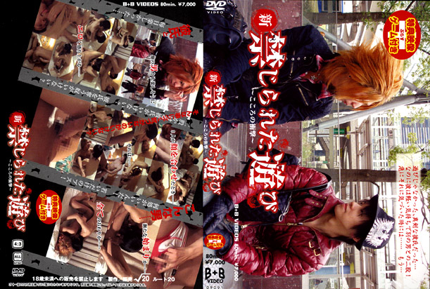 NEW FORBIDDEN LOVE -DVD-