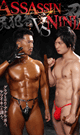 ASSASSIN VS NINJA -DVD-