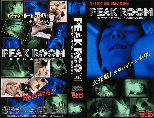 PEAK ROOM -DVD-