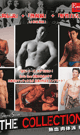 THE COLLECTION (WELL-BUILT BODY) -DVD-（RESALLING） ( mh fair ) - DVD / 140min