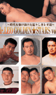 MR.LEO GOLDEN STARS vol.01 -DVD-@(Resale) ( mh fair )