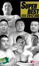 SUPER BEST 2012 -DVD- - DVD / 270min (2 discs)