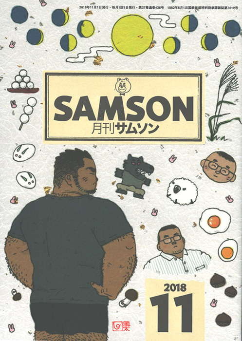 SAMSON 18/11