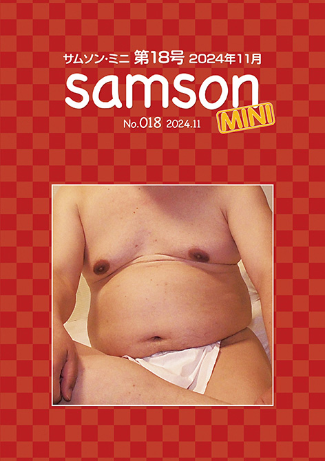 SAMSON mini No.018i2024/11j