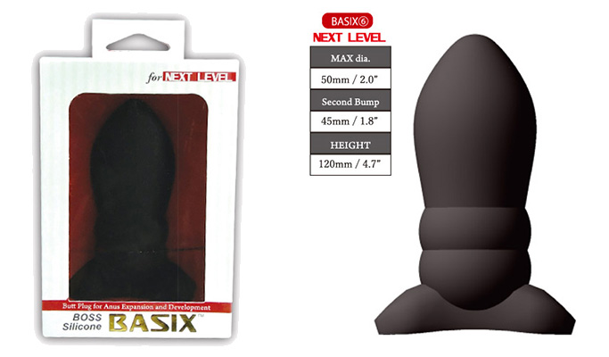 BOSS SILICON BASIX 6 for next level