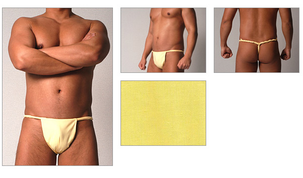 TANUKIDOU ROKUSYAKU ( gingko )