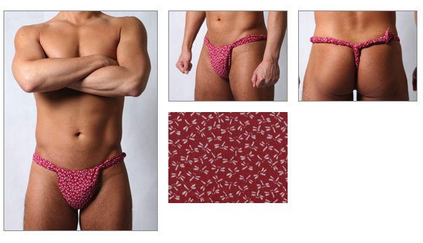 TANUKIDOU ROKUSYAKU ( kachimushi russet  )