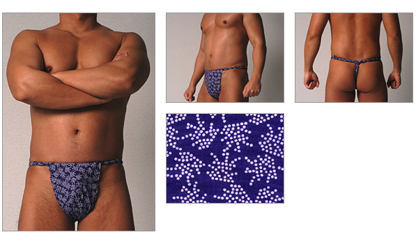 TANUKIDOU ROKUSYAKU ( matsurikomon purple )