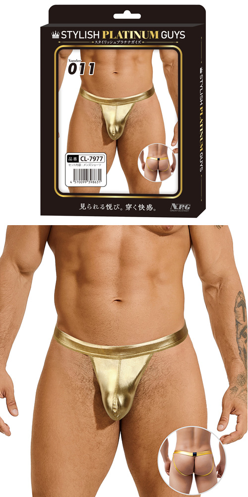 STYLISH PLATINUM GUYS 010