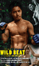 WILD BEAT -DVD-（mhフェア）