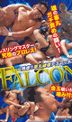 FALCON  残虐!!睾丸破壊デスマッチ 〜-DVD- - DVD／76分