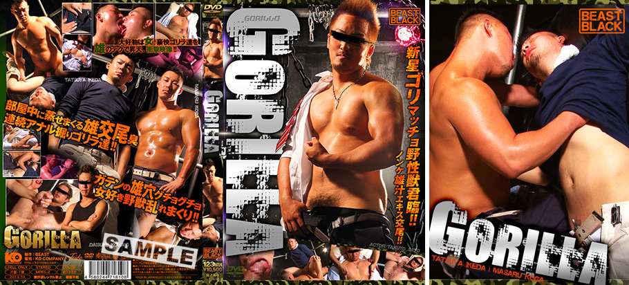 GORILLA -DVD-