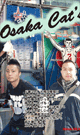 Osaka Cat's -DVD-