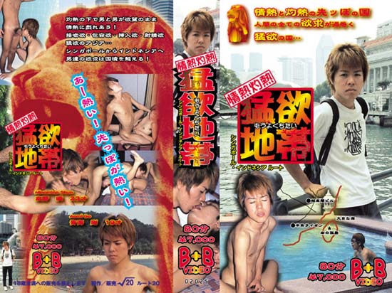 情熱灼熱 猛欲地帯 シンガポール・インドネシア ルート -DVD- 【廃盤復刻セール品・ケース無し】