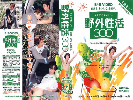 野外性活300 -DVD-