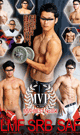 MVP BEST No.004 -DVD- - DVD／470分（3枚組）