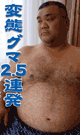 変態グマ2.5連発 -DVD- - DVD／70分