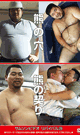 サムソンリバイバル 29 -DVD- - DVD／120分