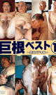 巨根ベスト 12 -DVD- - DVD／120分