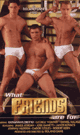 [ 736 ] WHAT FRIENDS ARE FOR  -DVD- - DVD／90分