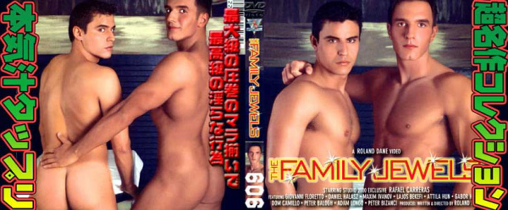 [ 606 ] THE ] FAMILY JEWELS  -DVD-