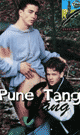 [ 544 ] Pune Tang Gang  -DVD- - DVD／78分