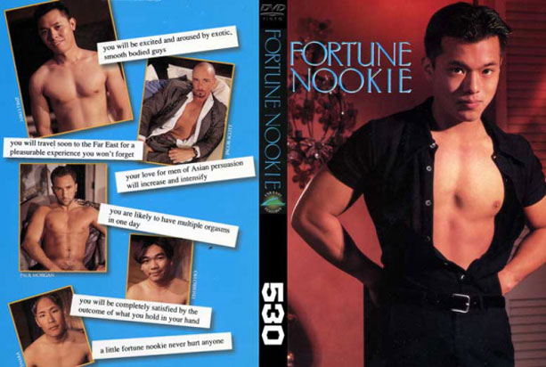 [ 530 ] FORTUNE NOOKIE  -DVD-