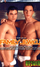[ 826 ] THE FAMILY JEWELS -DVD- - DVD／110分