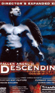 FALLEN ANGEL 2 DESCENDING -DVD- - DVD／160分