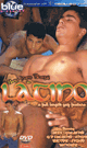 LATINO -DVD- - DVD／90分