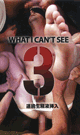 WHAT I CANT SEE 3 -DVD- - DVD／138分（2枚組）