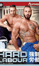 HARD LABOUR　-DVD-