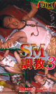SM調教 3  ウィダーinペニス  -DVD- - DVD／60分