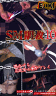 SM調教 10 -DVD- - DVD／60分
