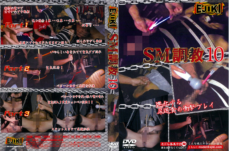 SM調教 10 -DVD-