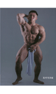 筋肉写真館