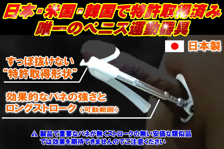 アンドロ ヤマト Light