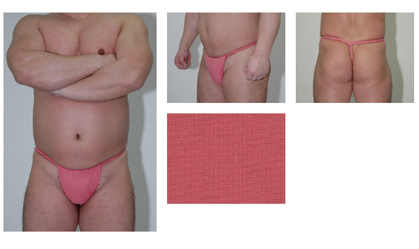 たぬき堂六尺（桜） 