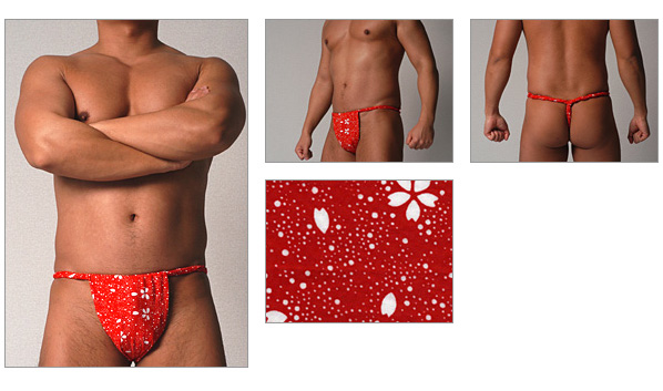 たぬき堂六尺（さくら）