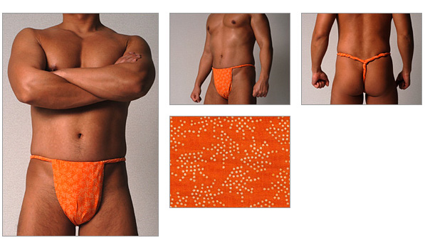 たぬき堂六尺（祭小紋 橙）