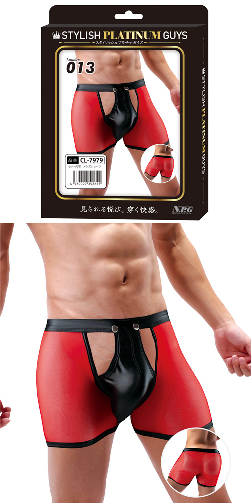 スタイリッシュプラチナガイズ Number 013