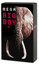 MEGA ビッグボーイ 3個セット - ラテックス